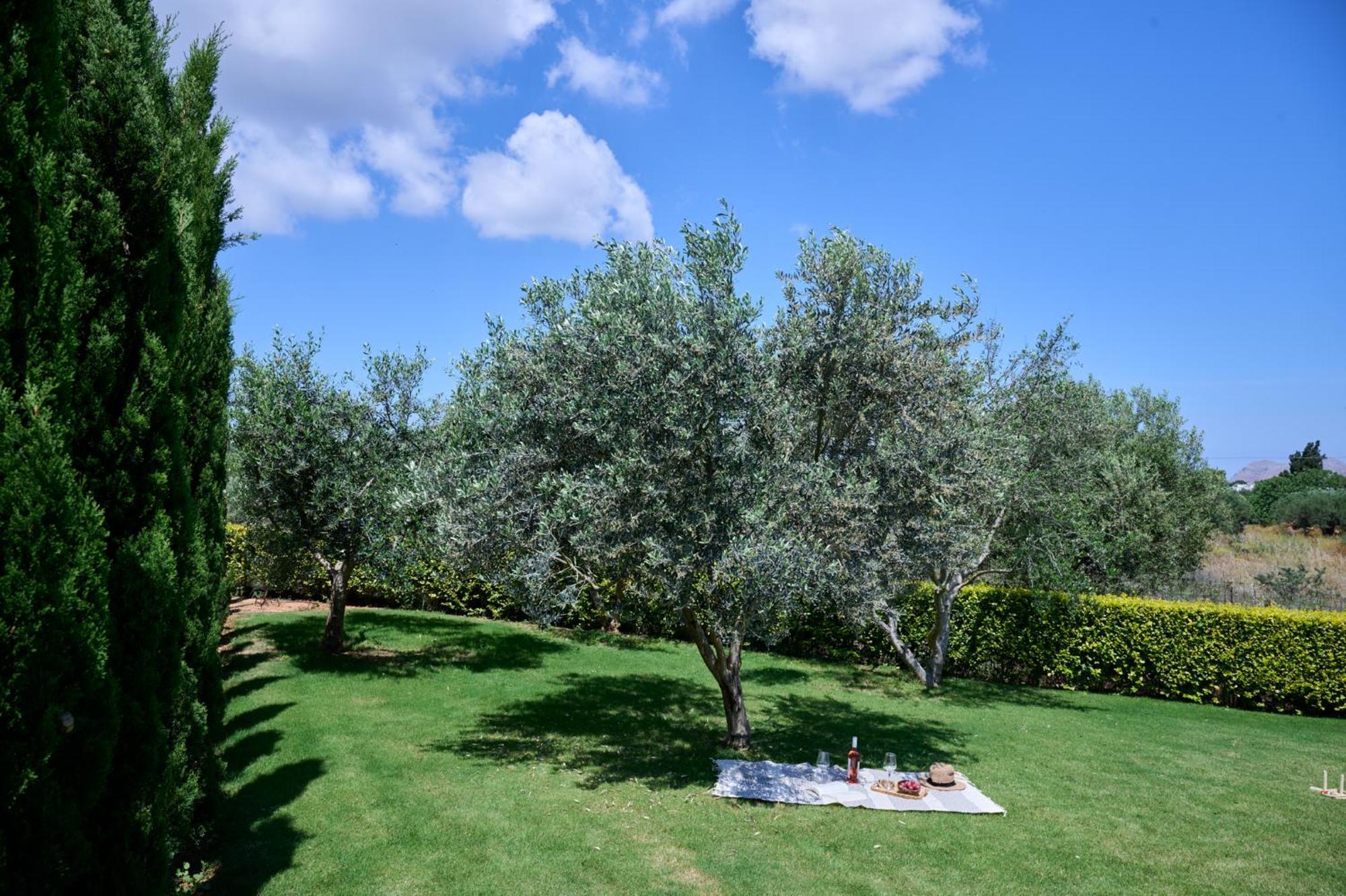 Kyamon Estate Luxury Villa Chania  Zewnętrze zdjęcie