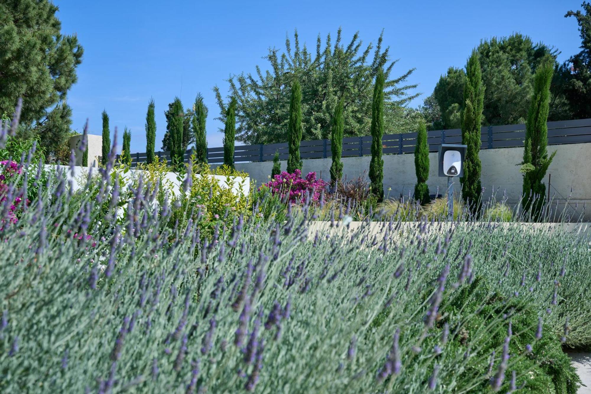 Kyamon Estate Luxury Villa Chania  Zewnętrze zdjęcie